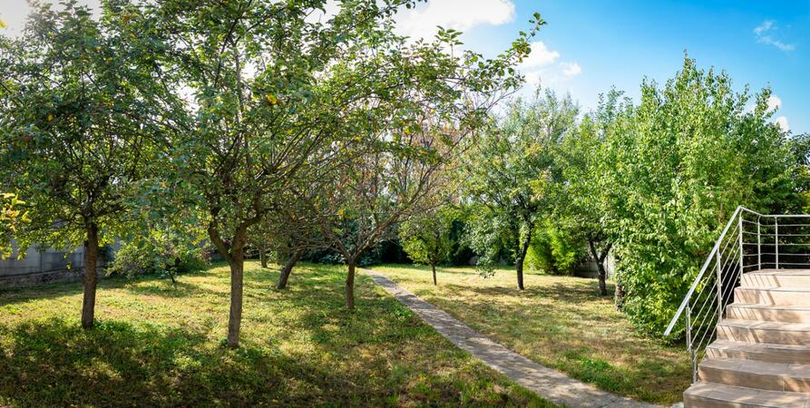 Appartement à louer avec jardin pour vos séjours loisirs et professionnels - Résidence Artemis, Villeneuve-le-Roi